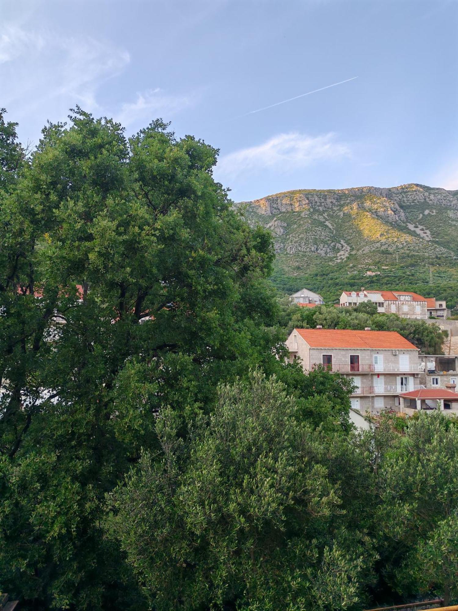 Apartment Oscar Mokošica Værelse billede